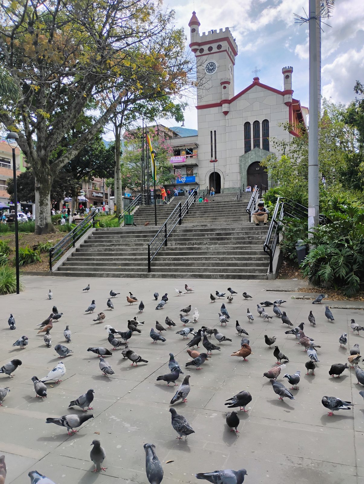 Palomas en el atrio del templo de San Antonio de Prado.